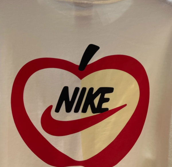 오픈마켓 우리들쇼핑,나이키 캐주얼화 스우시 우먼스 긴팔 화이트 티셔츠 IB1670-133