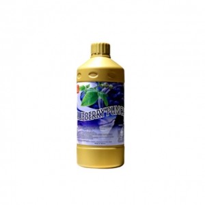 탕웰 펀치 블루베리스무디 1.5L